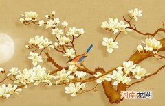 2022年9月底出生的满分宝宝起名 虎年能给宝宝带来好运的名字