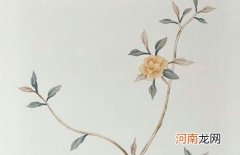2022年属虎双胞胎动听的名字 虎年寓意双胞胎宝宝一条心的名字