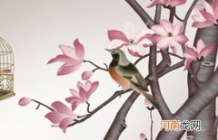 2023年年初出生最火的男孩乳名 兔宝宝有福气的乳名男孩精选版