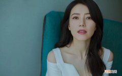 高圆圆起诉食品公司侵权获赔20万