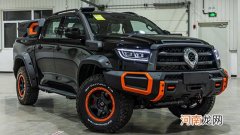 长城炮黑弹版正式上市 售价24.88万元