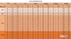 大学生体测项目及标准表 大学生体测标准评分表