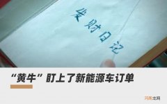 倒卖新能源车订单，他们赚了8倍