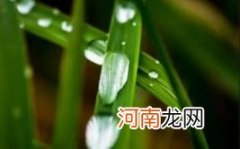 2022北方白露过后蚊子还咬人吗优质