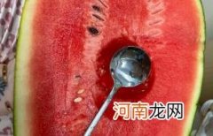 黑美人西瓜口感是脆的吗优质