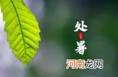 2022过了处暑就是过了伏天吗优质