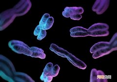 胎儿何时才有男女之别 宝宝性别早知道准不准