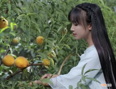 李子柒现身广州2021亚洲青年领袖论坛回应：不会停更，一直在拍摄