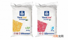 化肥巨头雅苒推出全球首艘自主电动集装箱船