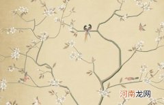 2023年属兔适合男宝宝的高分名字 兔年安姓男孩名字独特新颖