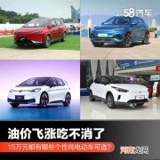 油价飞涨 15万元有哪些个性纯电动车可选优质