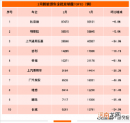 2月车企批发销量TOP10：特斯拉夺得亚军优质