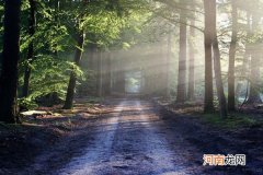 学会这些基础你就能拍出一张好照片