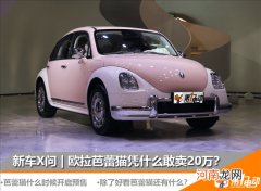 芭蕾猫凭什么敢卖20万？除了好看还有什么