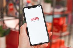 小红书从种草到除草，只隔着一个滤镜？