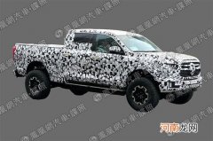 凸显豪华 长城炮旗舰D级皮卡X炮谍照曝光