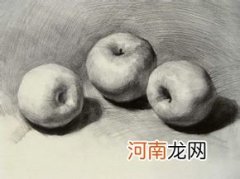 素描一组苹果