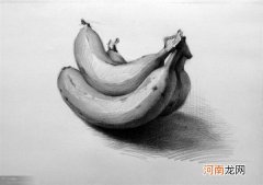 素描单体画香蕉的欣赏