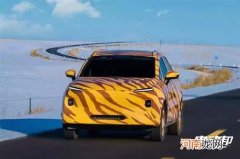 身披“虎皮”几何E冬季测试谍照曝光