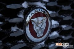 与主流仍有差距 捷豹XFL车机系统评测