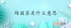 玛丽苏是什么意思优质
