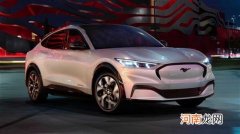 电动野马月销不到特斯拉零头！