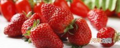 草莓是凉性还是热性的优质