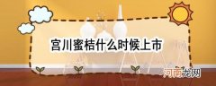 宫川蜜桔什么时候上市优质