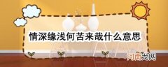 情深缘浅何苦来哉什么意思优质