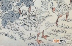 223卯兔年出生清雅秀逸的小女孩名字 充满高雅得体的气质