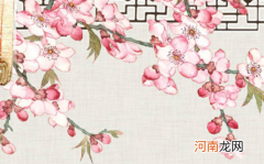 2023年3月25日今日出生男宝宝起名 属兔男孩最优质的名字