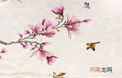 2022年10月3日出生男孩是什么命 虎年姓何好听稀少的男孩名字