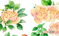 虎年五行缺金男孩名字大全 2022有诗意的男宝宝起名字