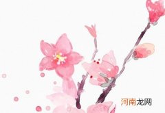 卯兔年高冷霸气男孩名字姓顾两个字 2023年男孩取名最好的字