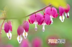 2022年10月8日出生艾姓男孩霸气起名 虎年寓意父母恩爱的名字