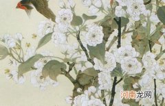 2023年3月28日出生是什么命 卯兔年带心字的男孩名字