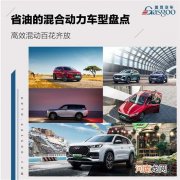 高效混动百花齐放 几款省油的混动车型推荐