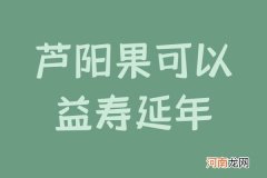 芦阳果的功效与作用及禁忌|芦阳果的功效与作用及禁忌有哪些？
