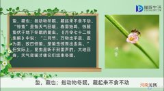 惊蛰的含义