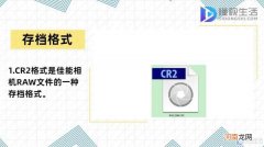 cr2是什么格式