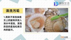 扇贝怎么清洗