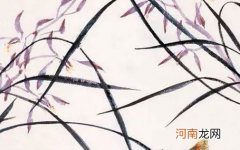 2023年4月29日出生是什么命 兔年孩子起名字大全免费女