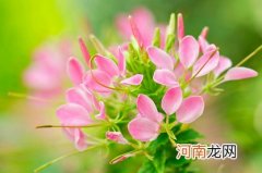 八字身弱财旺发财命例 有妻财命收入可观