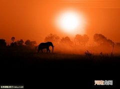 拍摄日落夕阳的5个技巧