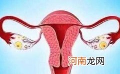 宫外孕手术后隔多久来月经优质