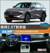 推荐2.0T智享版 2022款哈弗神兽购车指南