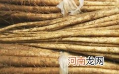 牛蒡根可以吃下去吗优质