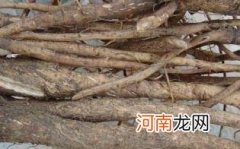 高血脂能喝牛蒡茶吗优质