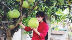 关于“李子柒事件”，普通人应该怎么看