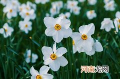 2022年形容女子才貌双全的名字 虎年寓意新生的女宝宝起名